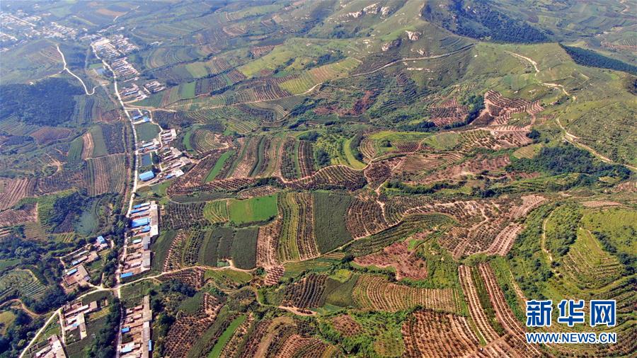 （图文互动）（8）挂职，挂了半辈子