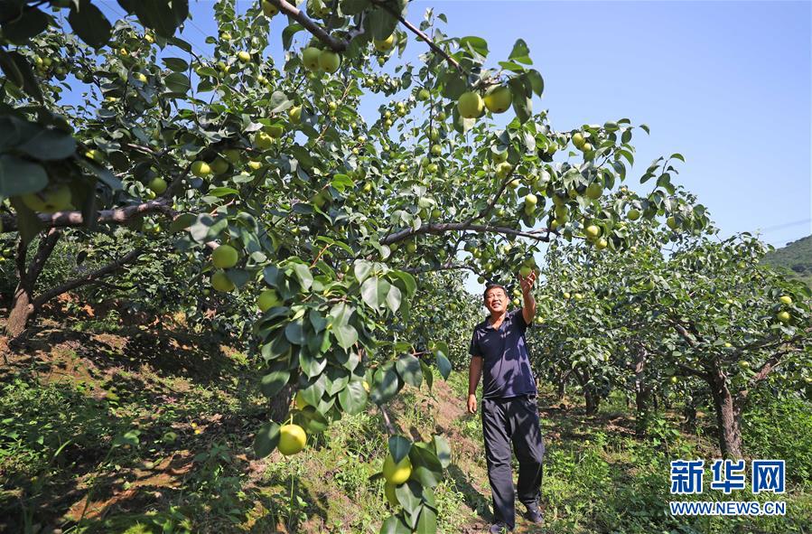 （图文互动）（6）挂职，挂了半辈子