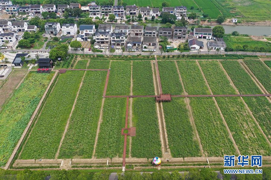 （社会）（8）江苏昆山：建设美丽乡村 推进乡村振兴