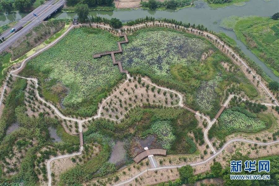 （社会）（9）江苏昆山：建设美丽乡村 推进乡村振兴