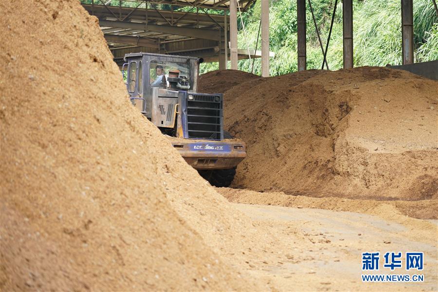 (在习近平新时代中国特色社会主义思想指引下——新时代新作为新篇章·总书记关心的百姓身边事·图文互动)(4)大污染变身“大宝藏”:治理畜禽粪污,他们这样干!