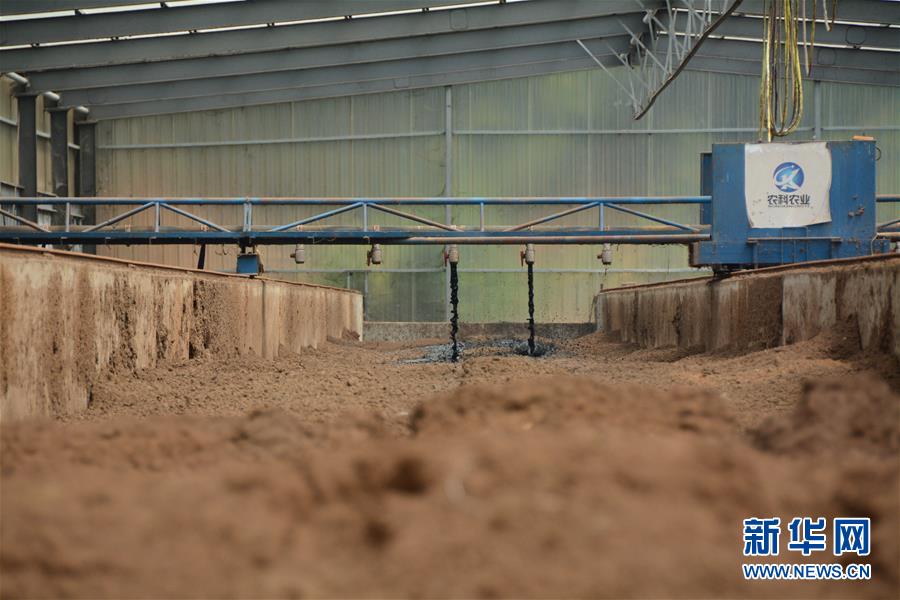 (在习近平新时代中国特色社会主义思想指引下——新时代新作为新篇章·总书记关心的百姓身边事·图文互动)(5)大污染变身“大宝藏”:治理畜禽粪污,他们这样干!