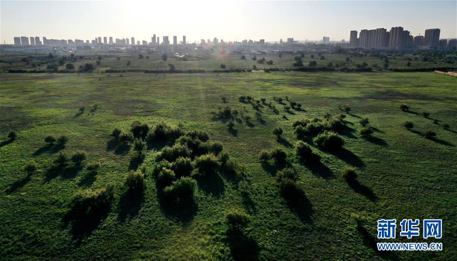 （镜观中国&middot;新华社国内新闻照片一周精选）（8）沙漠中的森林城市