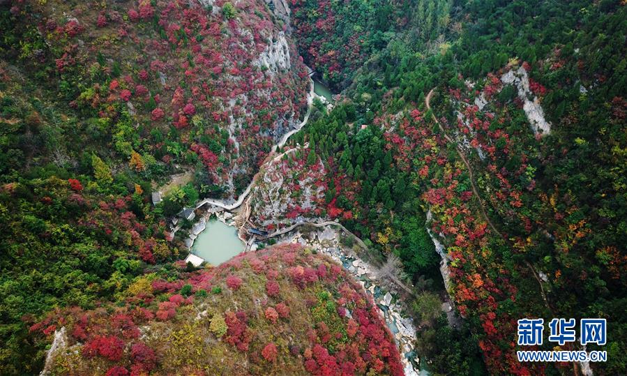 （北京世园会）（15）生态中国&middot;九色甘南缀陇原