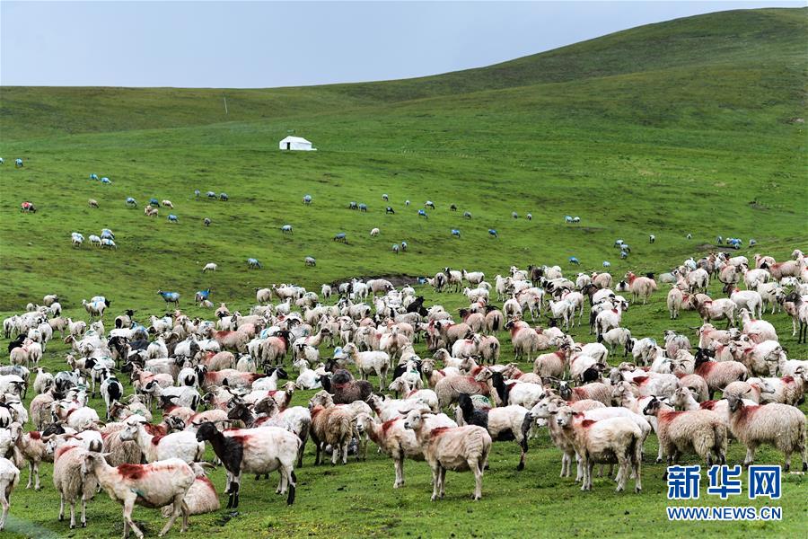 （北京世园会）（4）生态中国&middot;九色甘南缀陇原