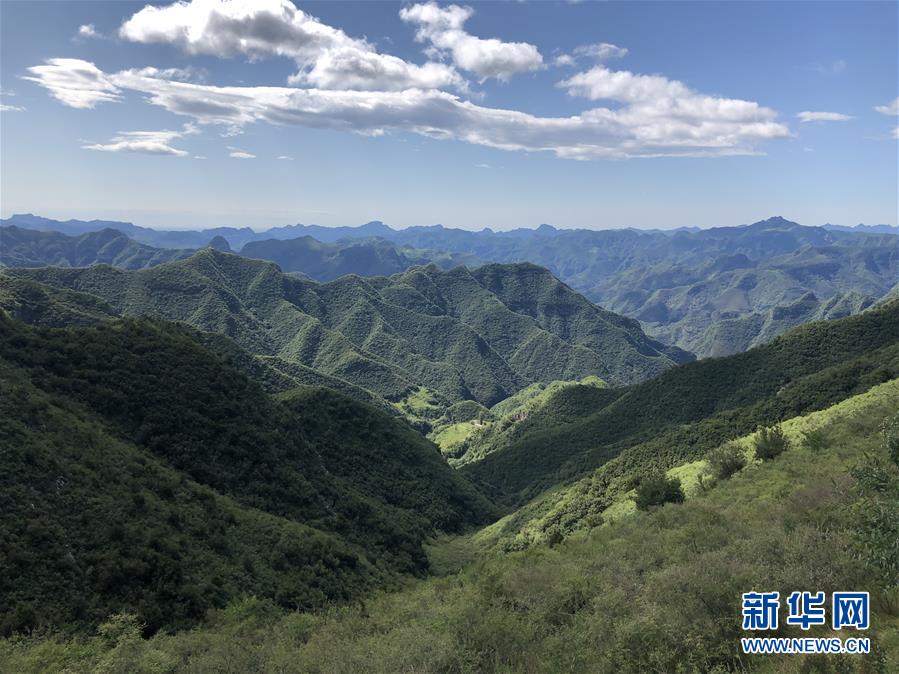 （乡村振兴·图文互动）（2）山村“变形”记