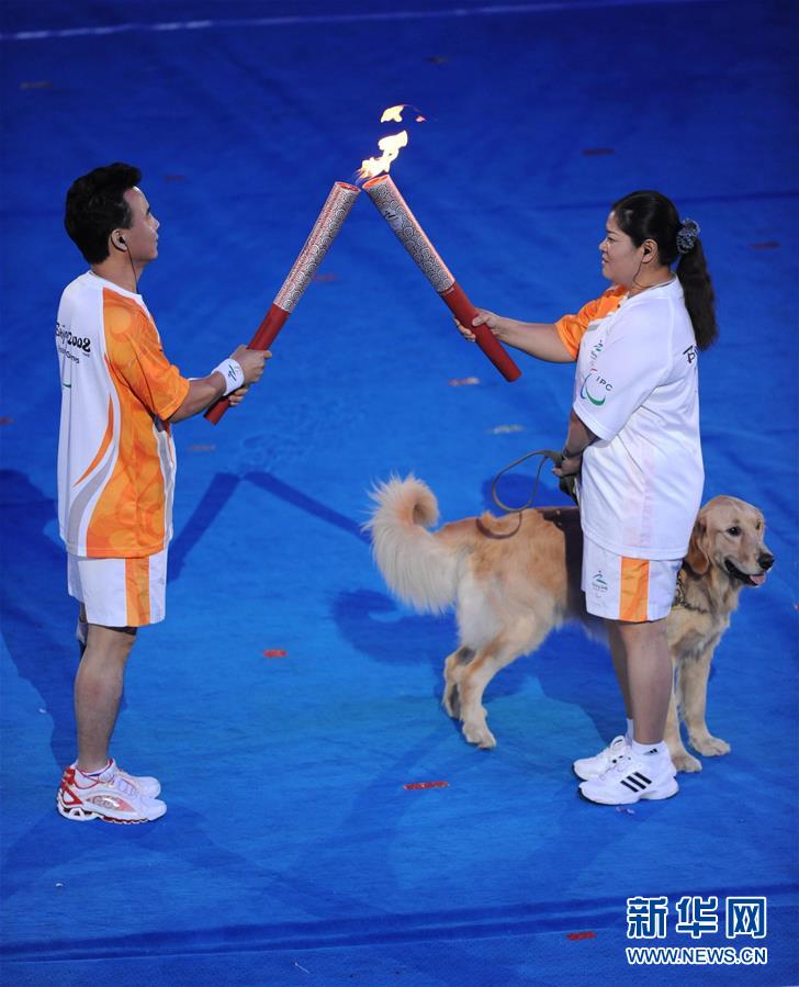 （新華全媒頭條·圖文互動）（2）共用出彩人生——中國殘疾人體育的光榮與夢想
