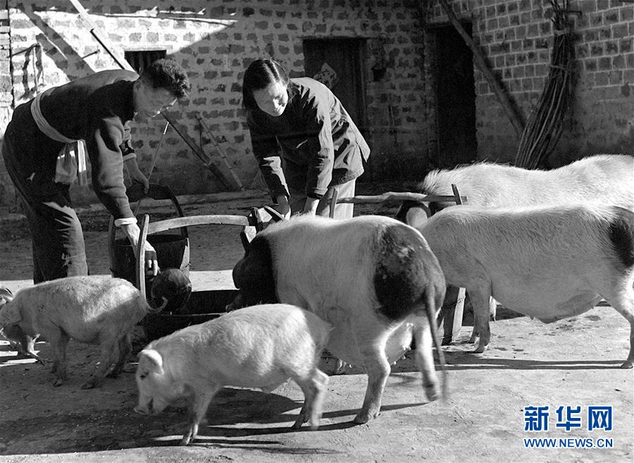 (红土地“往事新说”·图文互动)(5)万里征途为初心 夫妻接力践使命