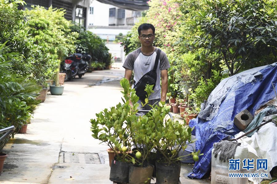 （图片故事）（4）返乡创业记&mdash;&mdash;回村种草的&ldquo;90后&rdquo;大学生