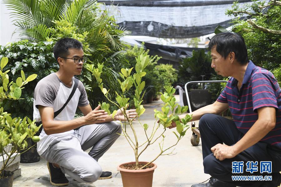 （图片故事）（5）返乡创业记&mdash;&mdash;回村种草的&ldquo;90后&rdquo;大学生