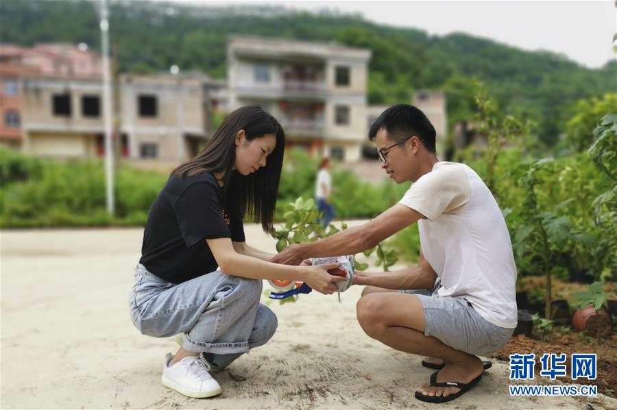 （图片故事）（9）返乡创业记&mdash;&mdash;回村种草的&ldquo;90后&rdquo;大学生