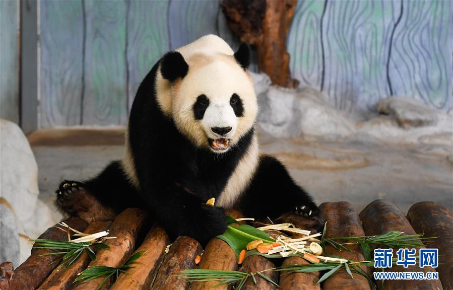 （镜观中国&middot;新华社国内新闻照片一周精选）（13）品中秋