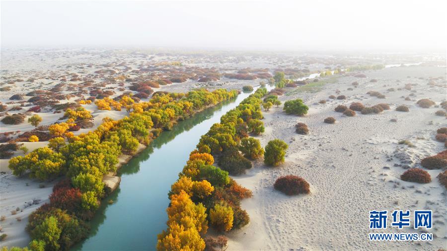 （北京世園會）（3）生態中國·壯美山河瞰新疆
