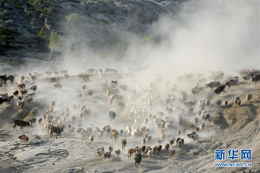 （北京世园会）（4）生态中国·壮美山河瞰新疆