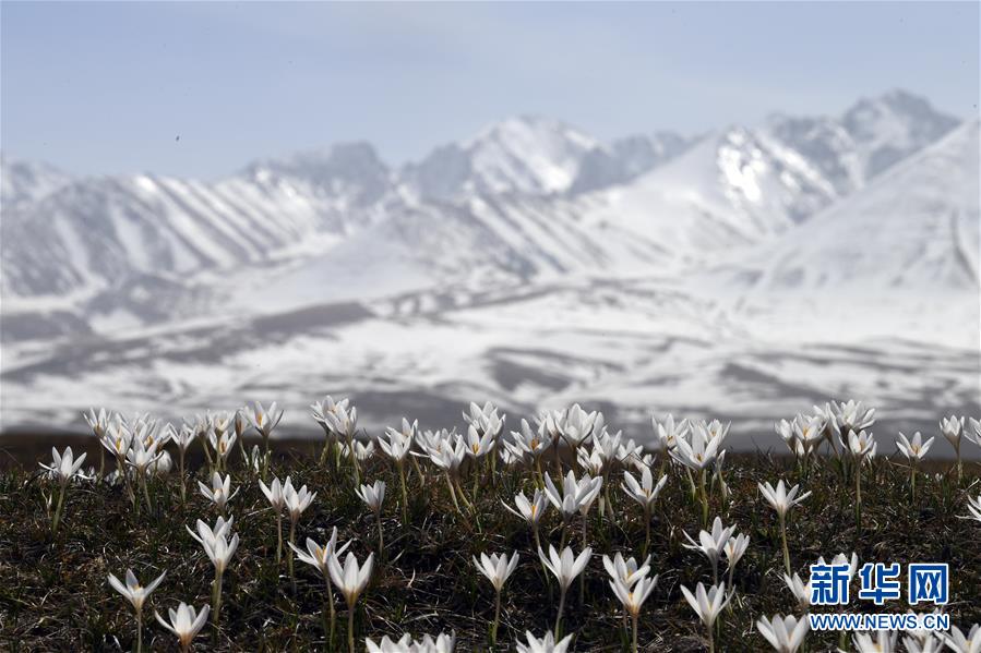 （北京世園會）（11）生態中國·壯美山河瞰新疆