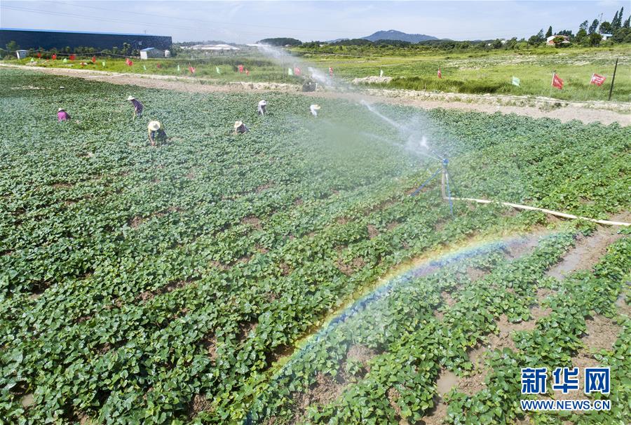 （新华全媒头条&middot;图文互动）（3）七十年间有大别&mdash;&mdash;大别山革命老区发展纪实