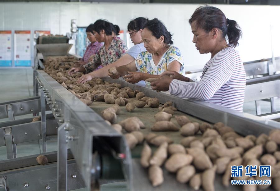 （新华全媒头条&middot;图文互动）（4）七十年间有大别&mdash;&mdash;大别山革命老区发展纪实