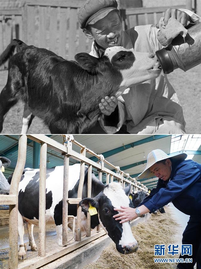 (壮丽70年·奋斗新时代)(8)70年时光流影 70行见证发展