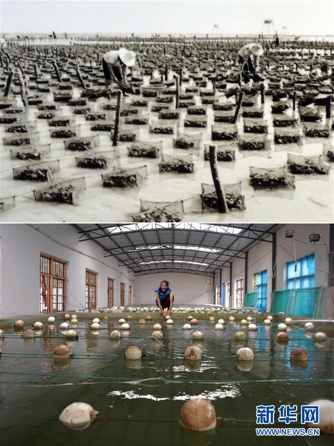 （壮丽70年&middot;奋斗新时代）（9）70年时光流影 70行见证发展