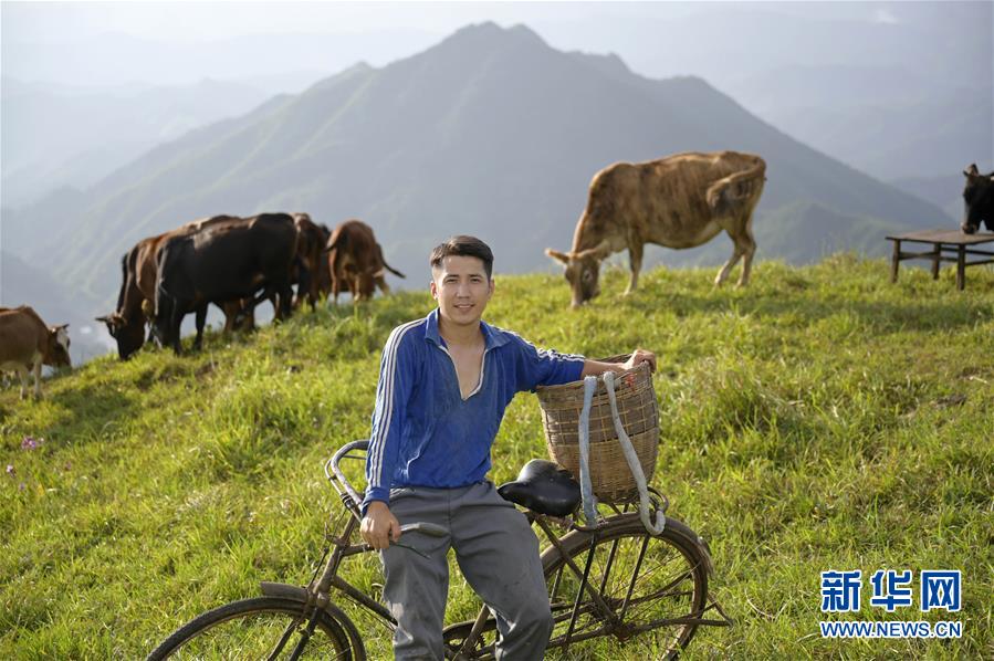 （图片故事）（10）乡村&ldquo;网红&rdquo;忙&ldquo;丰收&rdquo;