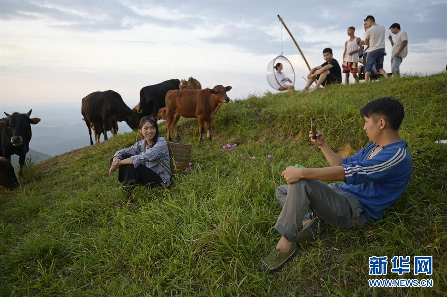 （图片故事）（11）乡村&ldquo;网红&rdquo;忙&ldquo;丰收&rdquo;