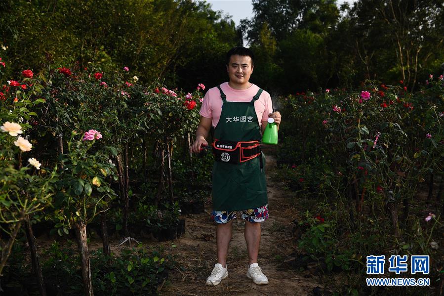 (壮丽70年·奋斗新时代)(1)青春梦想在田野中绽放