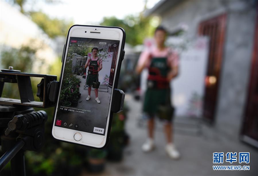 （壮丽70年&middot;奋斗新时代）（3）青春梦想在田野中绽放