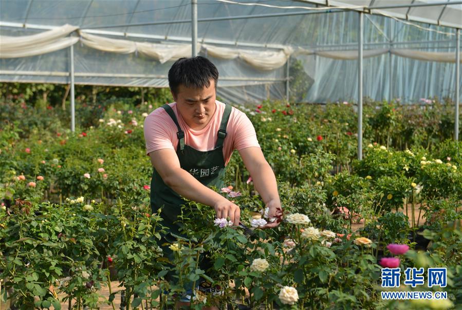 （壮丽70年&middot;奋斗新时代）（4）青春梦想在田野中绽放