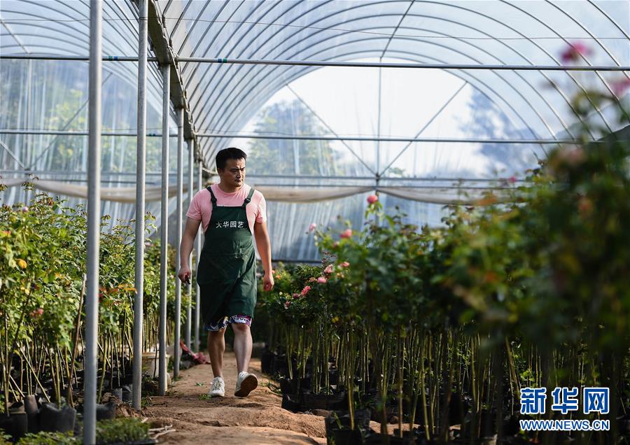 （壮丽70年&middot;奋斗新时代）（5）青春梦想在田野中绽放