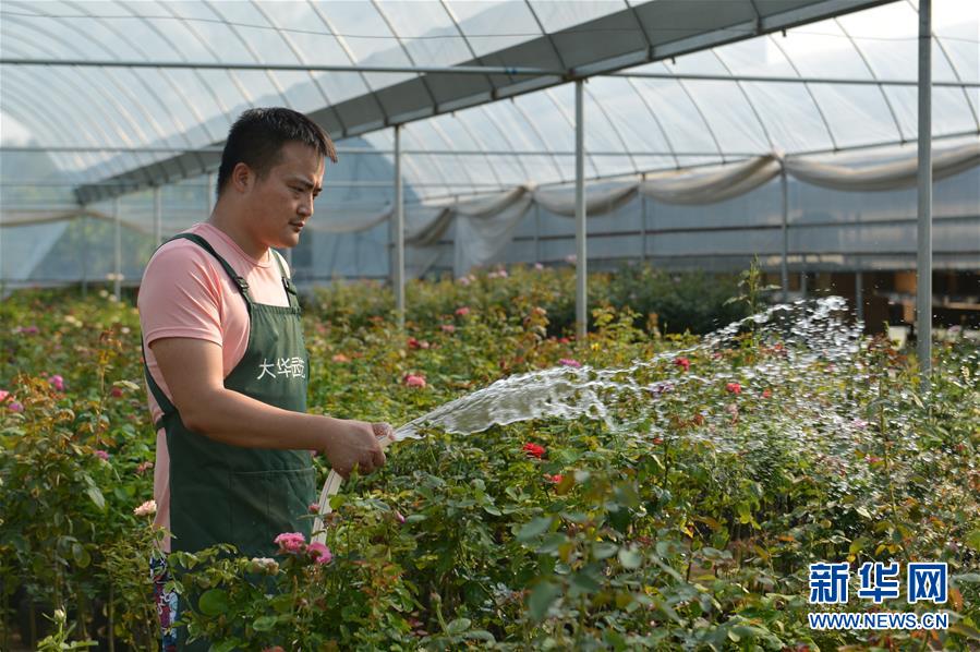 （壮丽70年&middot;奋斗新时代）（6）青春梦想在田野中绽放