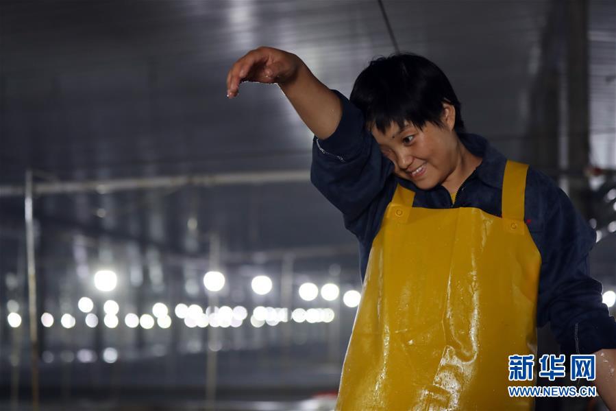 （壮丽70年&middot;奋斗新时代）（9）青春梦想在田野中绽放