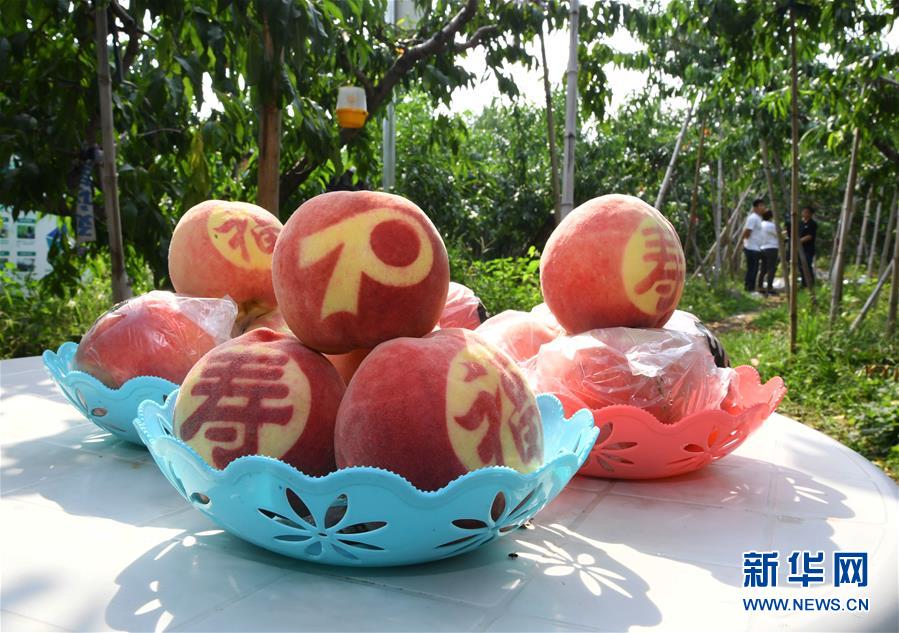 （图文互动）（3）国宴用桃是如何“诞生”的——国庆70周年招待会用桃“揭秘”