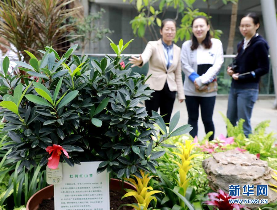 （圖文互動）（1）北京世園會200余個特有珍稀植物品種搬入北京植物園