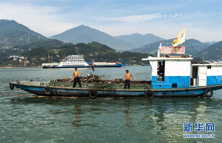 #（环境）（1）清漂护长江