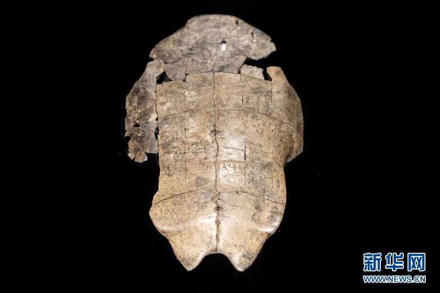 （文化）（1）&ldquo;证古泽今&mdash;&mdash;甲骨文文化展&rdquo;亮相国博