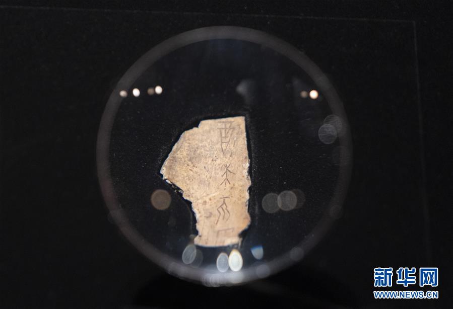 （文化）（2）&ldquo;证古泽今&mdash;&mdash;甲骨文文化展&rdquo;亮相国博