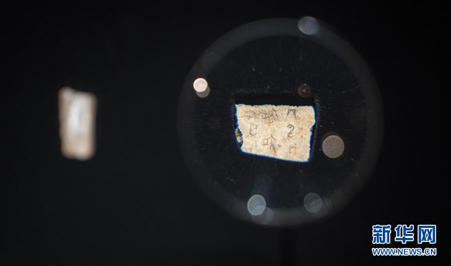 （文化）（3）&ldquo;证古泽今&mdash;&mdash;甲骨文文化展&rdquo;亮相国博