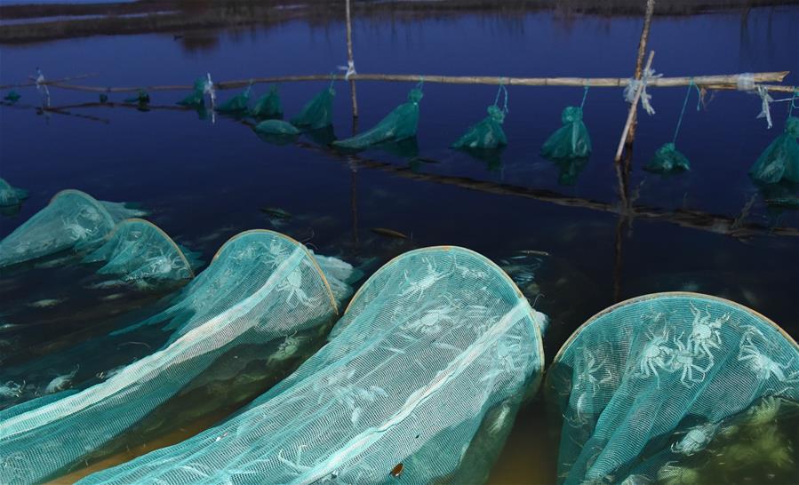 (在习近平新时代中国特色社会主义思想指引下——新时代新作为新篇章·总书记关心的百姓身边事·图文互动)(2)水润民心——全国农村饮水安全攻坚成效观察