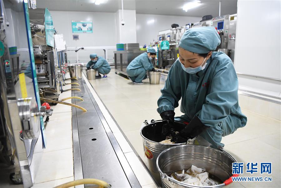 （新华全媒头条&middot;图文互动）（3）让中华瑰宝为呵护人类健康再放异彩&mdash;&mdash;我国中医药传承创新发展迈进新时代