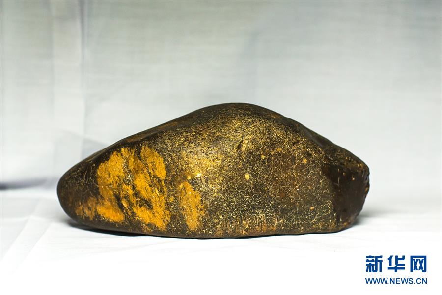 （图文互动）（4）黑龙江海伦发现罕见古生物群