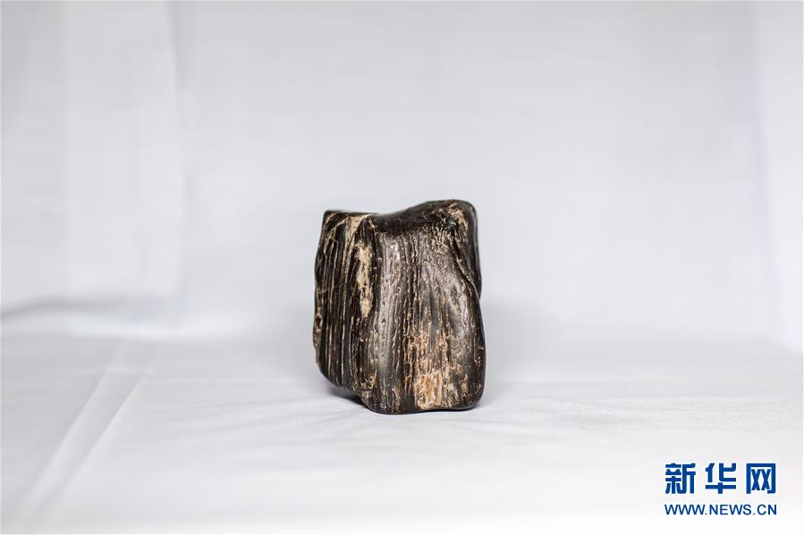 (图文互动)(5)黑龙江海伦发现罕见古生物群