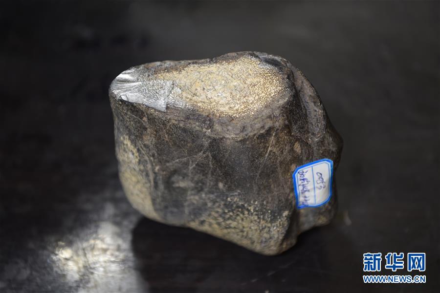 (图文互动)(7)黑龙江海伦发现罕见古生物群