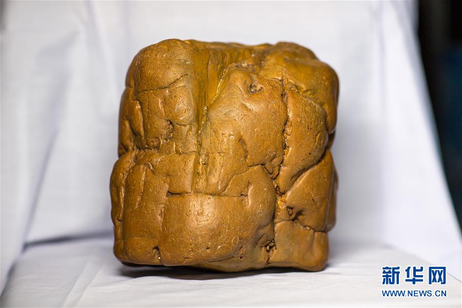 (图文互动)(1)黑龙江海伦发现罕见古生物群