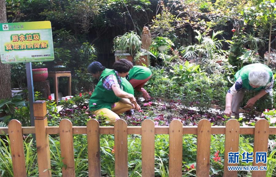 (新华全媒头条·图文互动)(4)上海:“三只桶”里看变化