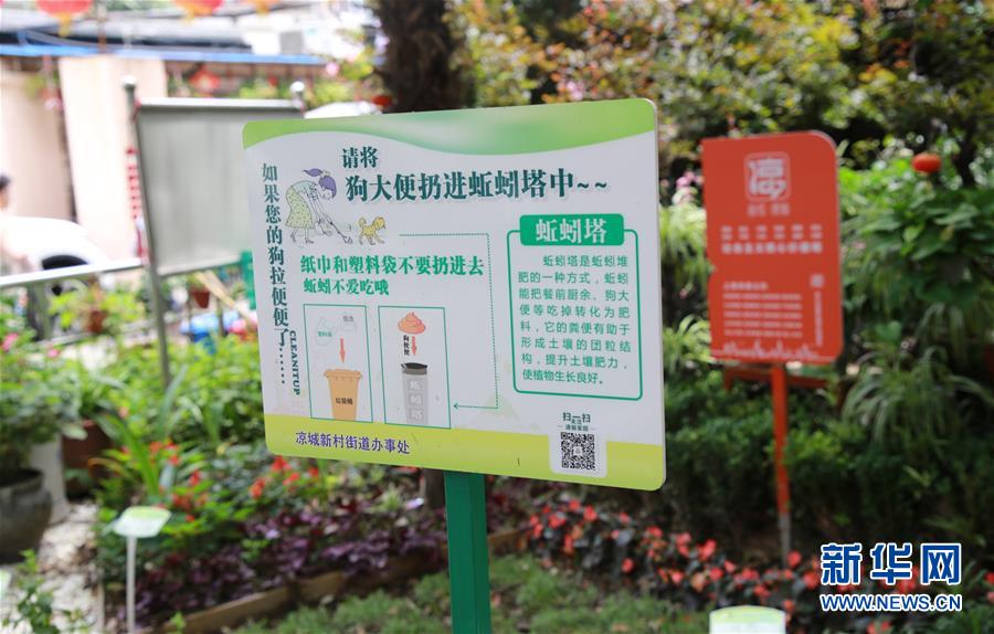 (新华全媒头条·图文互动)(5)上海:“三只桶”里看变化