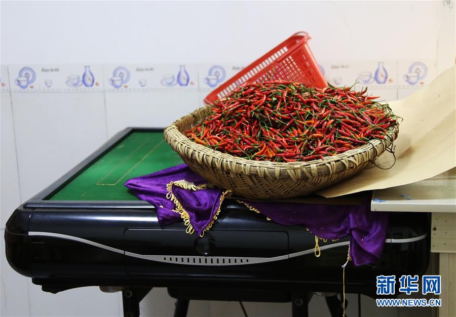 (四中全会精神在基层·图文互动)(2)特写:麻将桌“失业”记