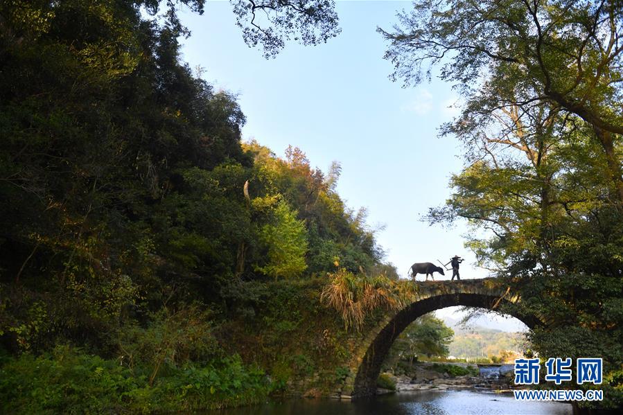 （图文互动）（3）乡村摄影师、乡村&ldquo;模特&rdquo;、民宿店主&mdash;&mdash;乡村旅游推动婺源农民生活方式发生新变化