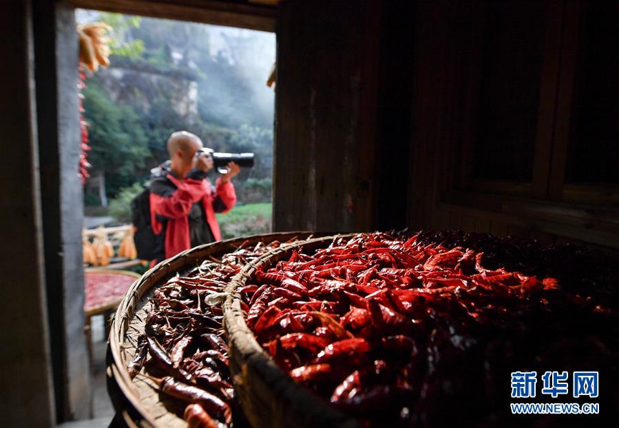 （图文互动）（6）乡村摄影师、乡村&ldquo;模特&rdquo;、民宿店主&mdash;&mdash;乡村旅游推动婺源农民生活方式发生新变化