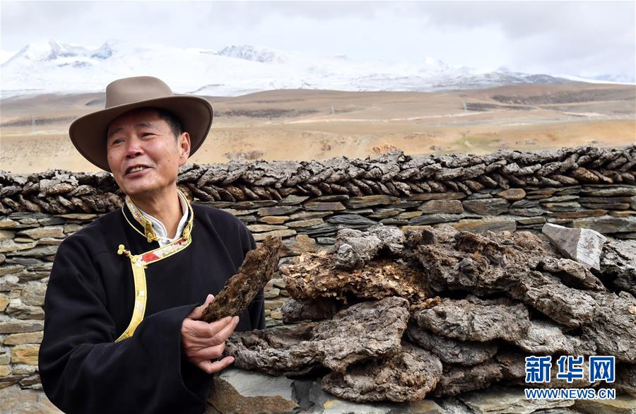 （新華全媒頭條·圖文互動）（4）“老牦牛”亞格博的西藏情緣——記北京援藏幹部吳雨初