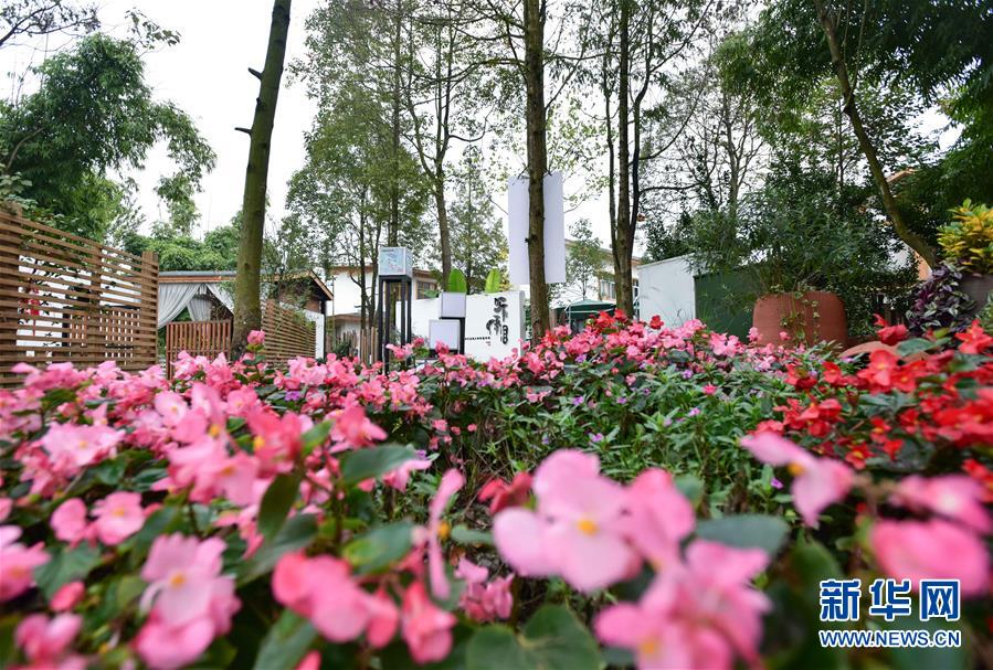 (乡村振兴·图文互动)(1)林盘经济怎么“盘”?小村落有大智慧